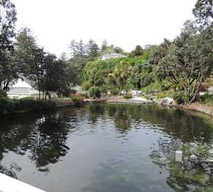 Kleiner Garten am Rande der Stadt