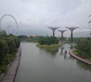 ...view to Gardens by the Bay - Singapore