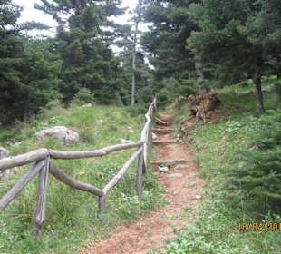 Gutbezeichneter Wanderweg