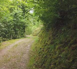 Wandern Schenkenzell