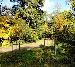 Herbstspaziergang durch den Bürgerpark Bremen