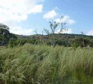 Krüger Nationalpark