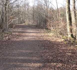 Premiumwanderweg Hohenwittlingensteig