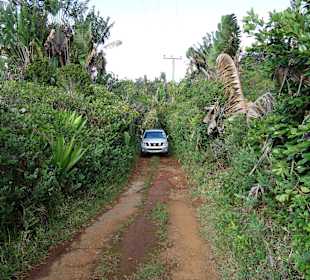 Auffahrt zum Simonet Berg 2013