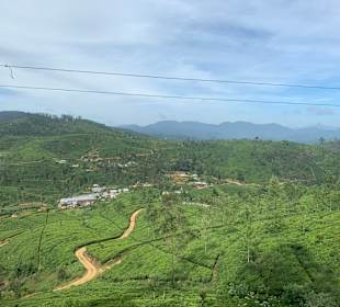 Bentota Fluss- und Mangroven Tour