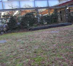 Sporthalle Reutlingen-Mittelstadt