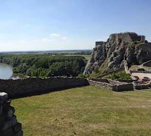 Burg