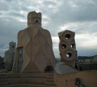 La terrazza