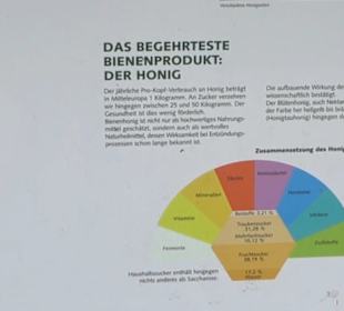 Naturinfopfad Weggental