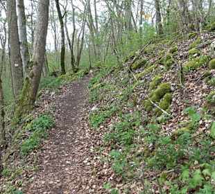 Eiszeitpfad - Burgfelsenpfad