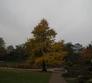 Parkanlage Planten un Blomen