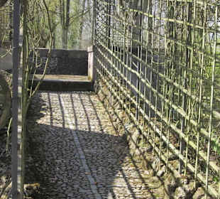 Schlossgarten Schwetzingen
