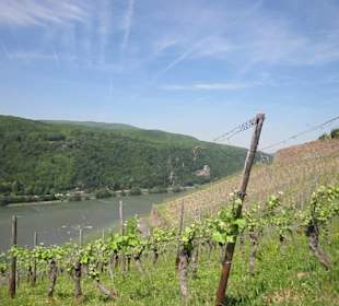 Impressionen Kräuterweg in Assmannshausen