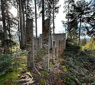 Skulpturenweg Maierhöfen