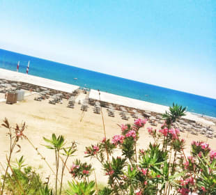 View of beach
