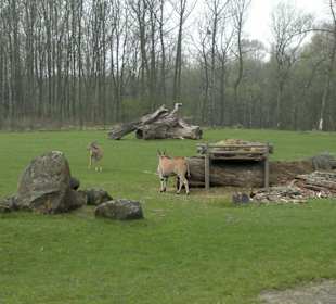 Zoo Ostrava