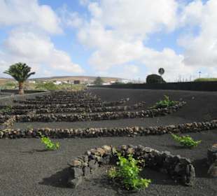Monumento del Campesino