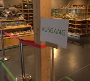 Dinosaurier Museum Altmühltal