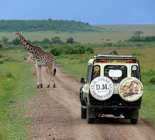 Unser Begrüßungskomitee - eine Giraffe