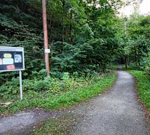 Spazierweg an der Selke