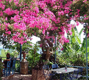 Inselrundfahrt Korfu