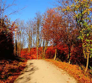 Blick auf den Wienerwald