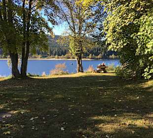 Stimmung am Schluchsee