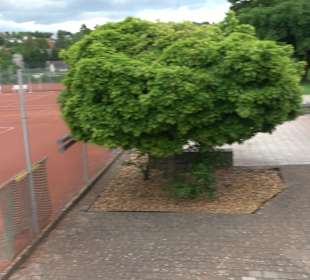 Tennisplatz Empfingen