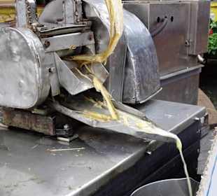 Rundgang über den Marché forain du Front de Mer