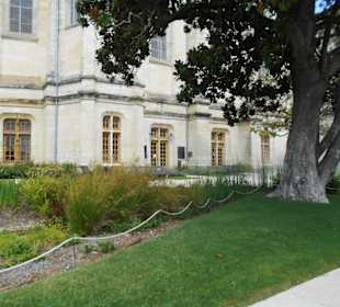 Jérôme Cuzin Centre