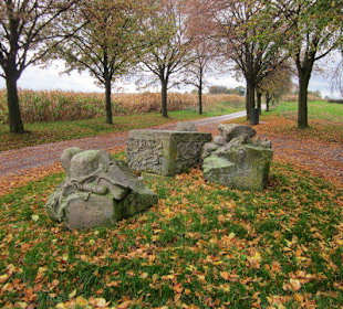 Fragmente auf dem Geisberg