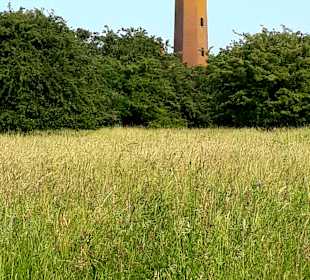 Apollo Tagestour zur Greifswalder Oie 