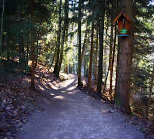 Noch gut ausgebaut am Anfang