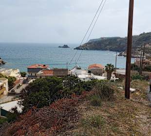 Strand Ligaria