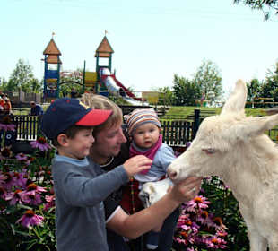 Fridolin mit Familie