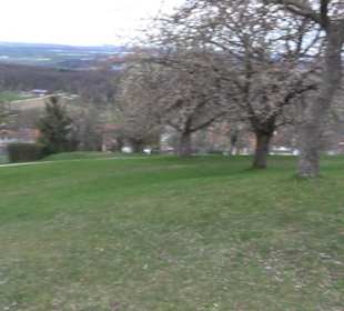 Der Grafenberg