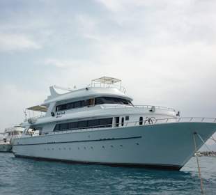 Safariboot Sea King Marco