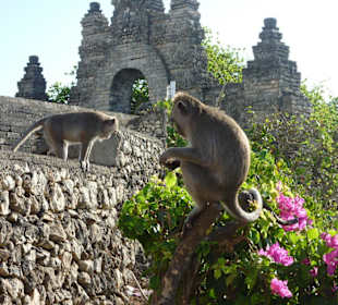 Immer noch beim Ulu Watu