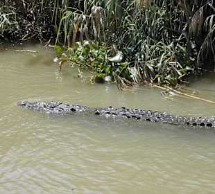Black River