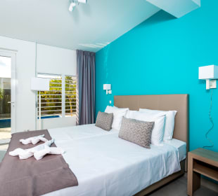 Zimmer Delfins Beach Resort Bonaire, Tapestry Collection by Hilton