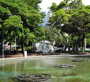 Teich an der Uferpromenade Barachois