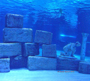 Griechiches Aquarium