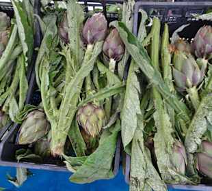 Eindrücke vom Wochenmarkt Nuoro