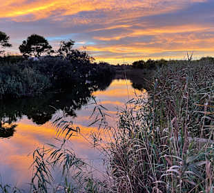 Wanderung Puig de Son Jordi