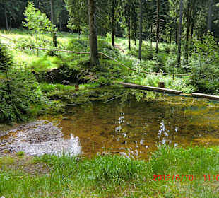 Eindrücke entlang des Werraradwegs