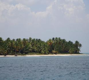 Sonne, Palmen, Strand und Meer - was will man mehr
