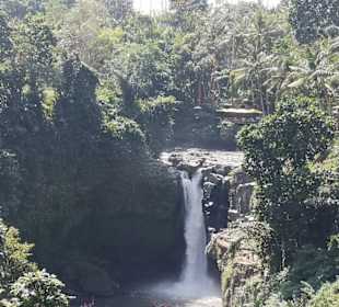 Tegenungan Wasserfall 