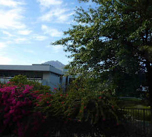 Weingebiet Stellenbosch
