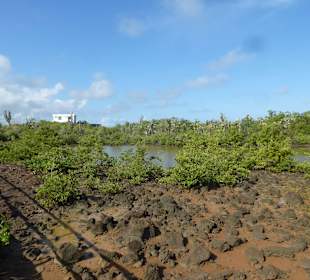 Blick in die Landschaft