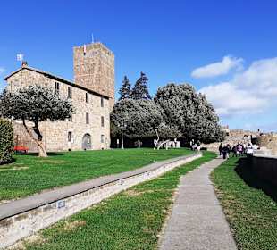 Parco di Tor Lavello